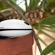 Illustration for article titled These Systems Let You Monitor Your Garden Without Setting Foot Outside